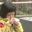 조하피 카카오 검색결과