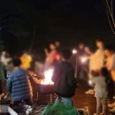 소나무힐링 | 춘천글램핑장 추천, 자연 속 힐링을 즐긴 소나무세상 글램핑 후기