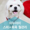 아이펫살롱 이미지