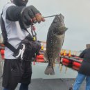 덕진호 좌대낚시터 이미지