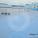 주식회사 포러스 이미지