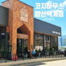 건강생활 덕계지점 | 양산 맛집 매월 10일 스테이크가 7,000원? 양산 덕계 코지하우스 진짜 가성비 맛집 솔직 후기