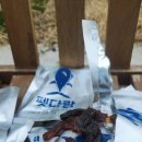 다온펫푸드 이미지