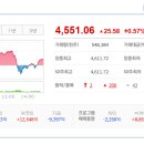 주식회사 더블유앤와이 | 2026/01/07: 상한가종목/ 상승률 상위종목/ 오늘의 주요 상승테마