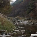 비룡민박 이미지