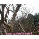 백사농장 이미지