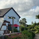 판포레스트 이미지