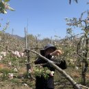 흥이많은농부 이미지