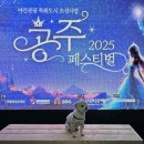 자연 애개 | 공주 아이와 가볼만한곳 강아지 동반 당일치기 여행 공주페스티벌