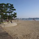 돌핀스 모텔 이미지