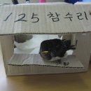 흥부전집 이미지