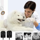 그림동물병원 이미지