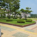 영천성남여자고등학교 이미지