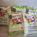 회덕동 주민센터 이미지