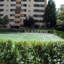 분당-141 이미지