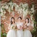 미소패밀리 이미지