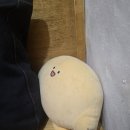 [대구 밥집] 토토스시 방문 후기!!
