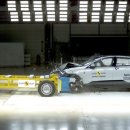 개 최고 이미지