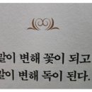 엔진마을 - 동구 방어진순환도로 416 | 엔진마을