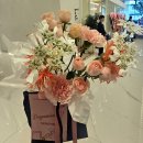 금강의전 | W1. 평촌웨딩홀 더파티움안양 라포레홀 당일 계약 후기 (26년 11월 예식)