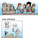 김약국 이미지