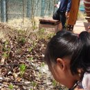 명호초병설유치원 이미지