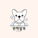 반짝일개 이미지