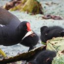 남양산역저수지 이미지