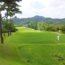 (주)동양레저 이미지