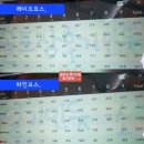 파인리즈빌라 휴양콘도미니엄 | 파인리즈cc 후기 파인, 레이크코스 2025년 12월말 라운딩