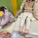 초초몰