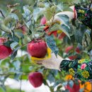 거창우체국 이미지