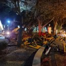 제주종합경기장 애향운동장 이미지