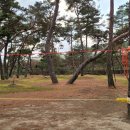 주생초등학교 이미지