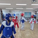 한벌태권도장 이미지