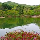 곡성-033 이미지