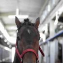 근성목장 이미지