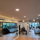 브라운 짐 이미지