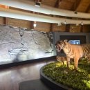 (주)반구대사람들 이미지