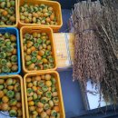 한방돼지국밥 이미지