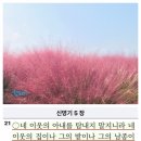 은혜농원 이미지