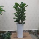 당진롯데공인중개사사무소 이미지