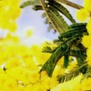산본중심한의원 이미지