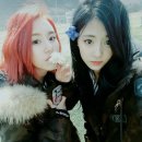 놀다 Daum카페