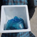 푸드어택 이미지