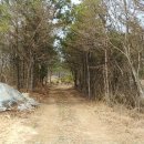 슬치주유소 이미지