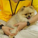 옐레드 애견유치원&애견호텔 부산용호점 이미지