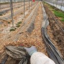 지명농장 이미지