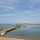 회뜨는서산 | 충남 서산 여행 가볼만한곳 삼길포항 회뜨는 선상 솔직후기