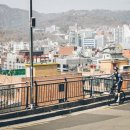 라파마을 네이버블로그